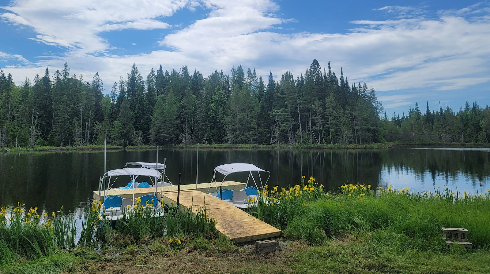 Ladd Pond Cabins And Campground