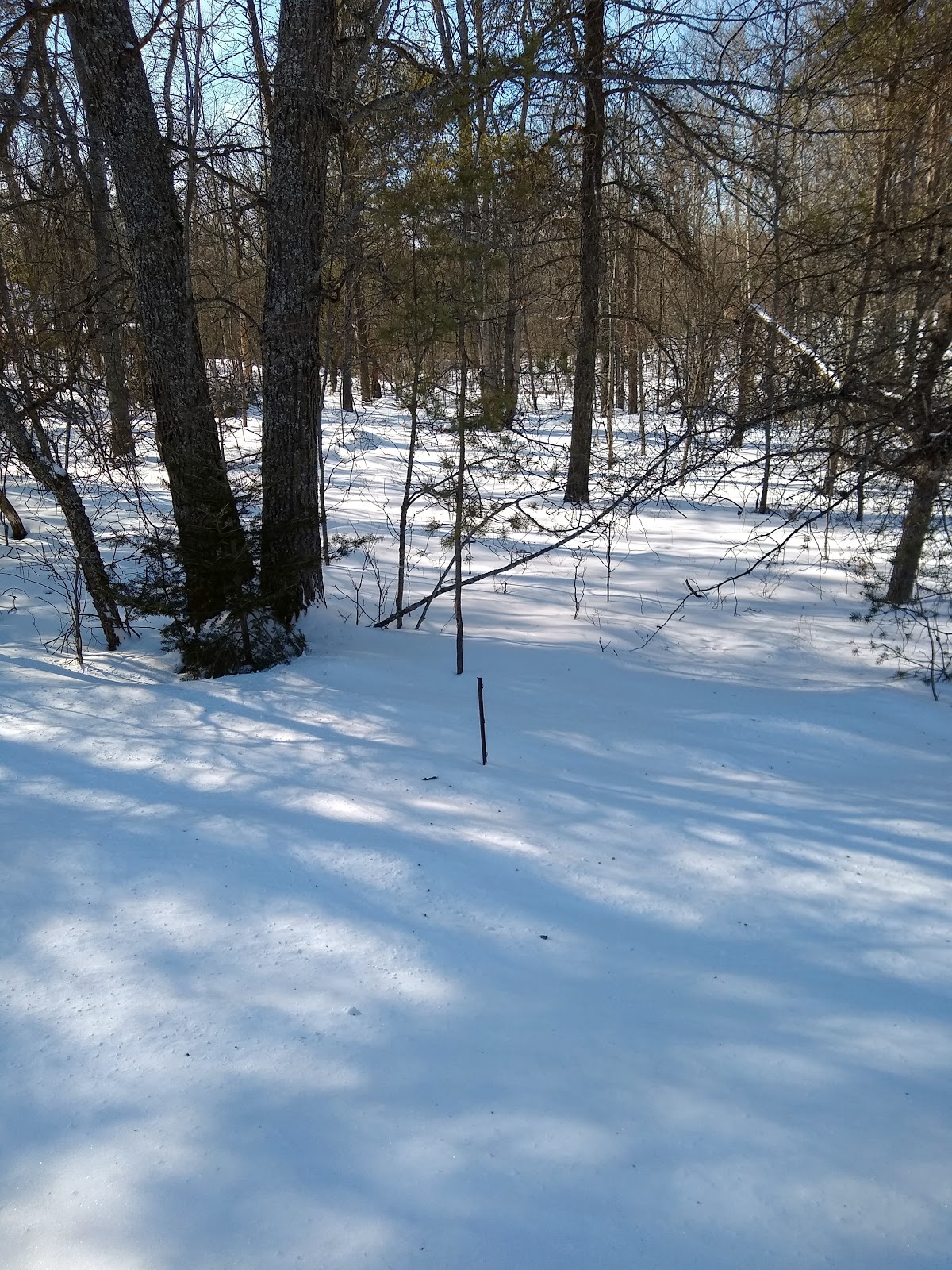 Ess Lake SF Campground