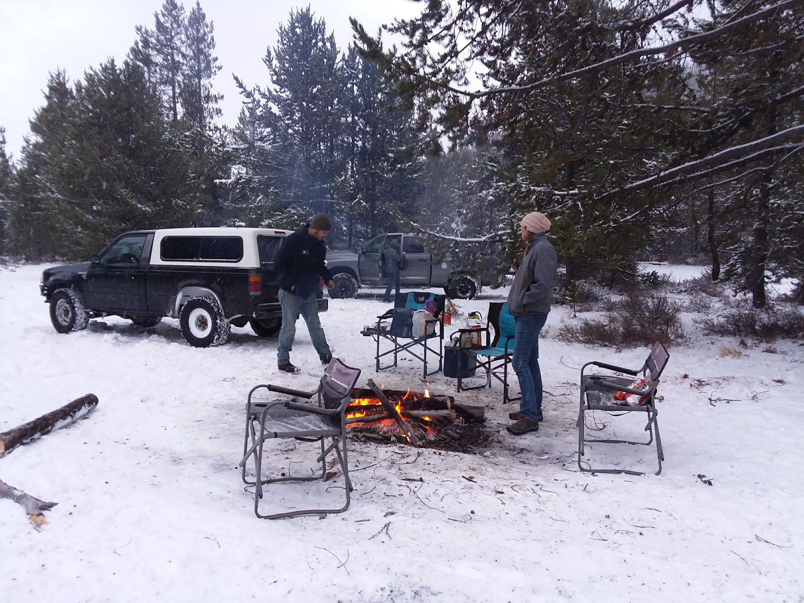 Swamp Wells Horse Camp