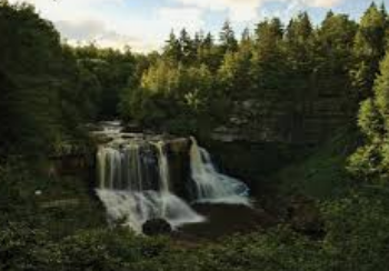 Potomac Highlands Guild