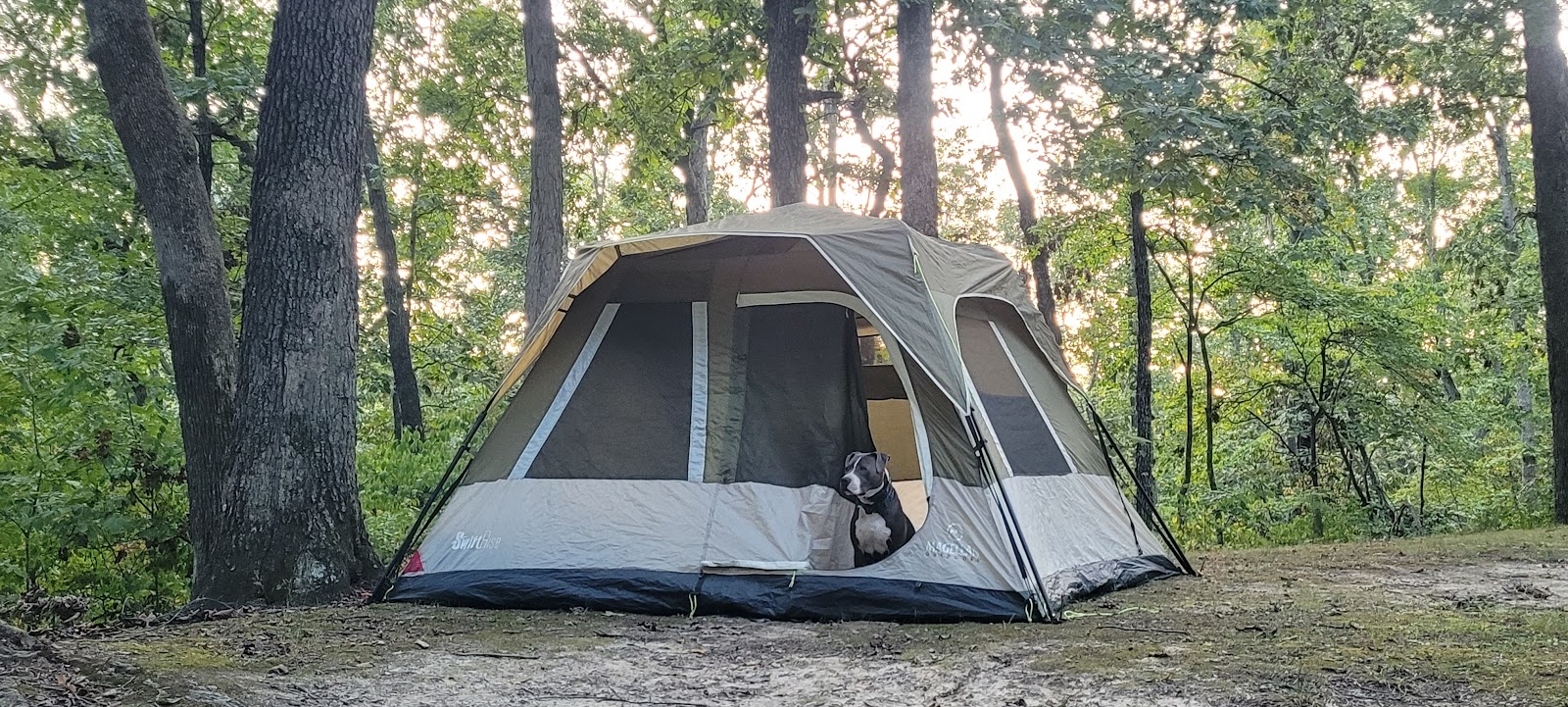 Pine Ridge - Randolph County SRA