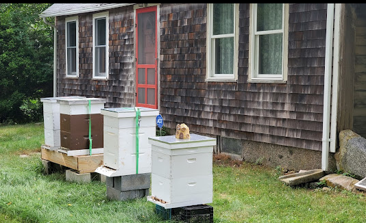 Dyer Woods Nudist Campgrounds