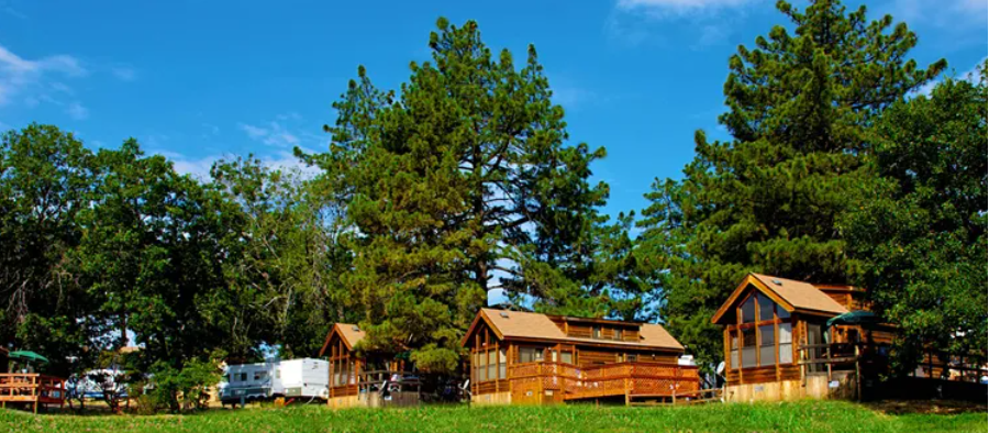 Colorado River Adventures - Northshore RV Resort