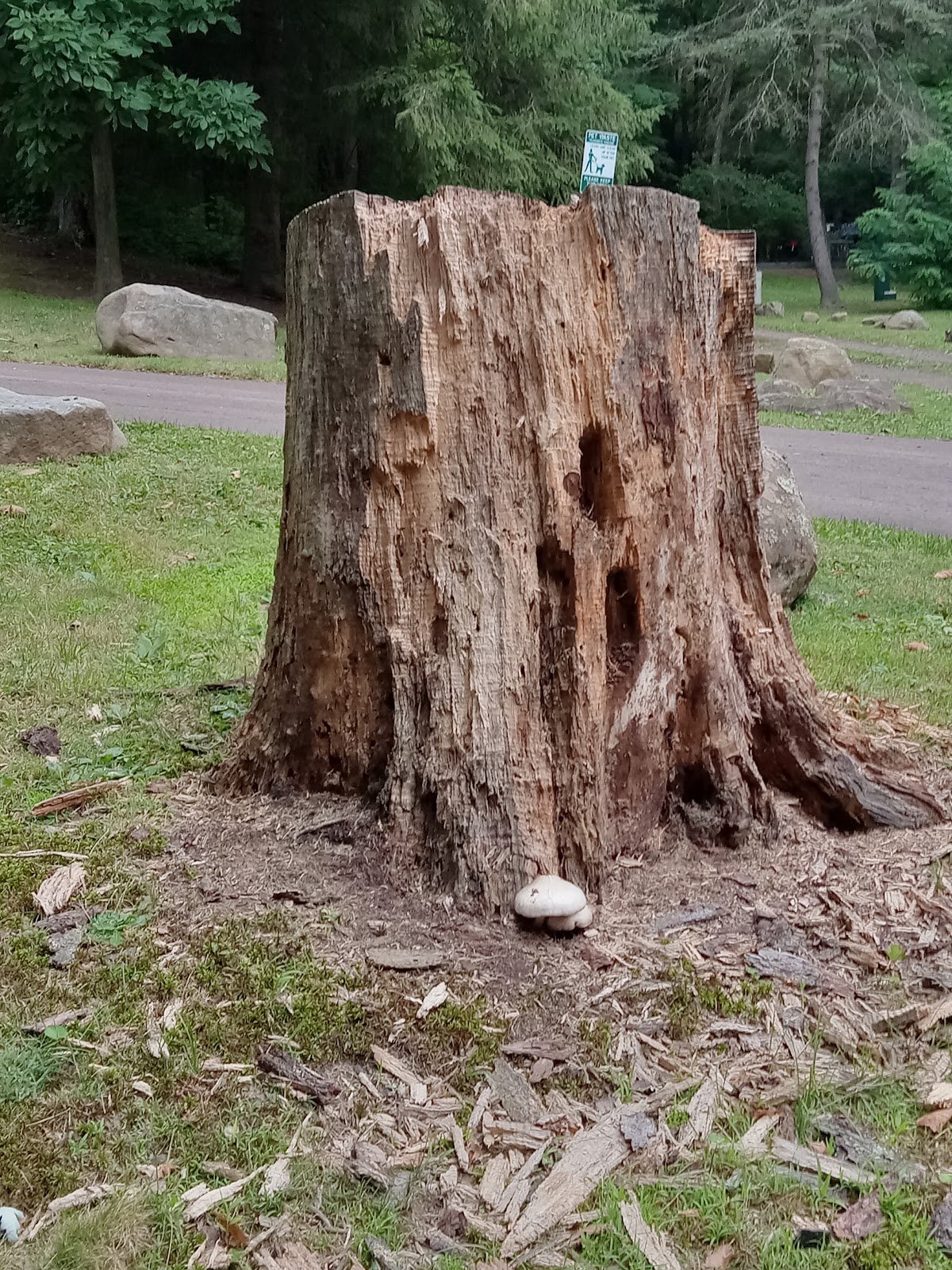 Mill Run Recreation Area