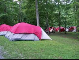 Mcnabb Creek Group Camping