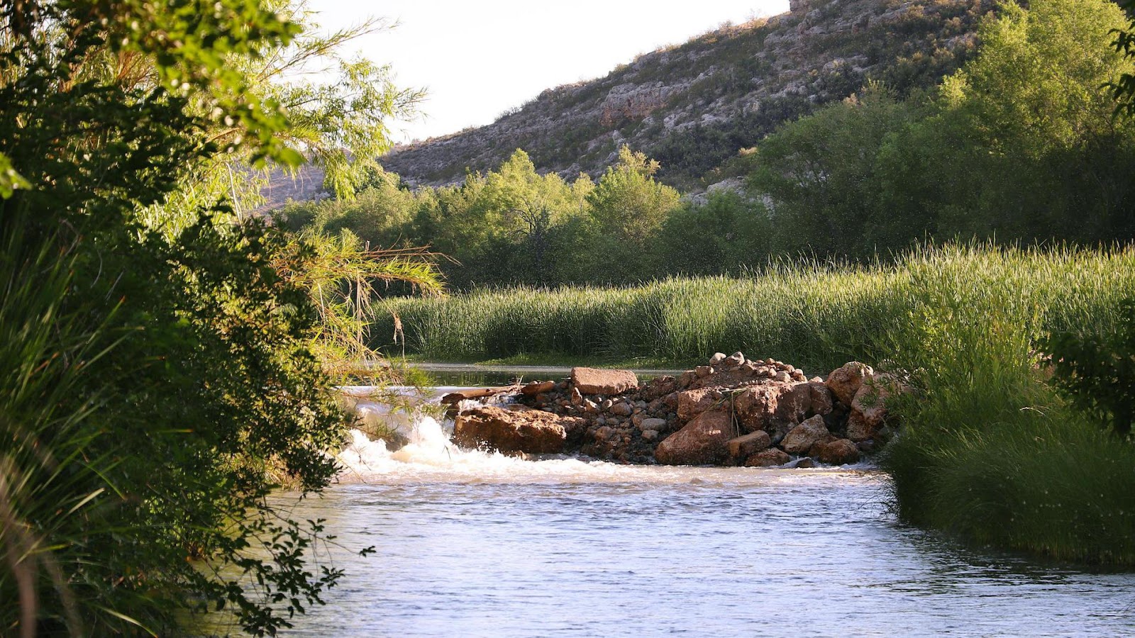 Verde Valley RV & Camping Resort