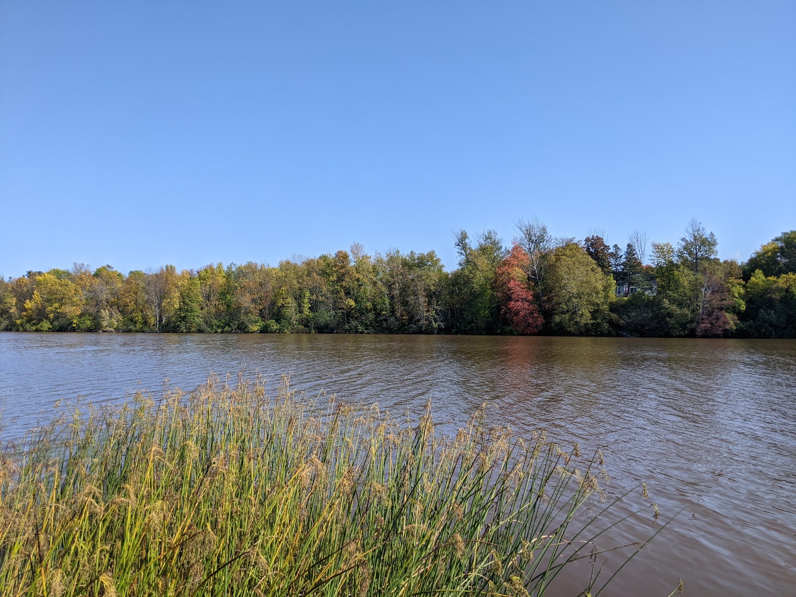 River Pines RV Park and Campgrounds