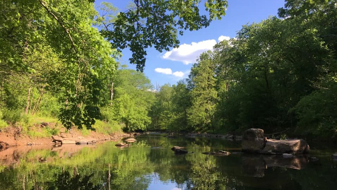 Camping by the Creek in Woods