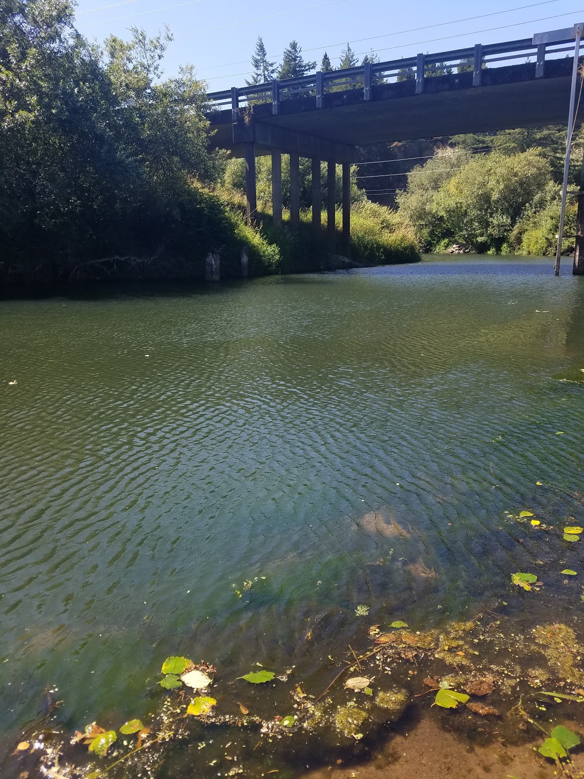 Eel Creek RV Park and Campground