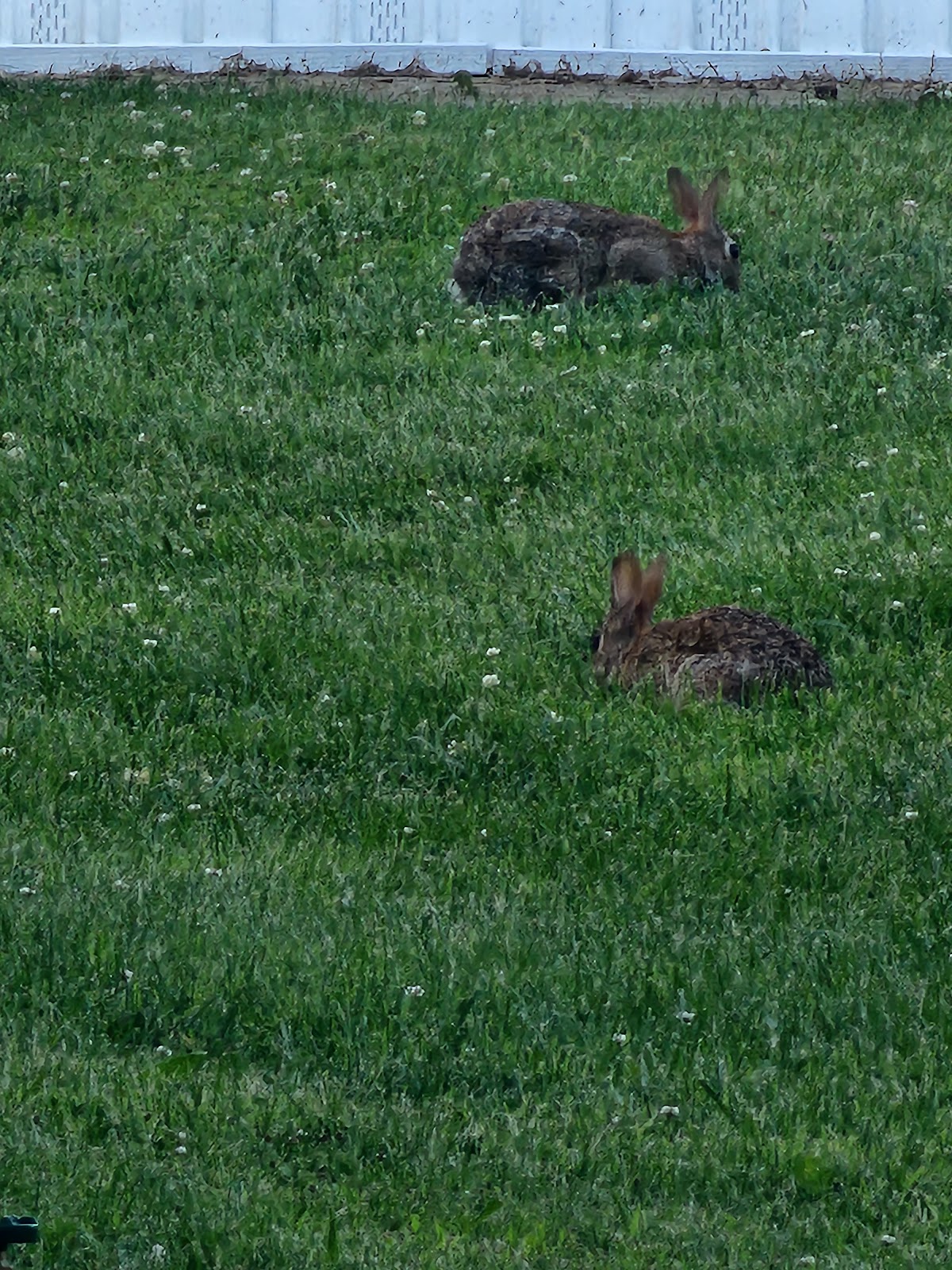 Marquette Mobile Village, Inc/MHP