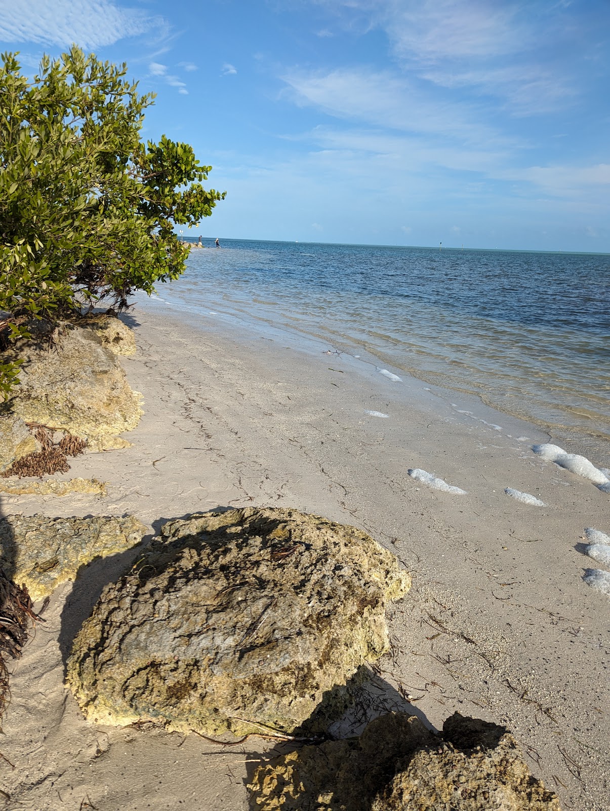 Curry Hammock State Park