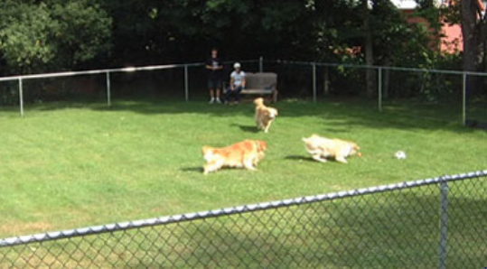 KOA Journey Brattleboro North