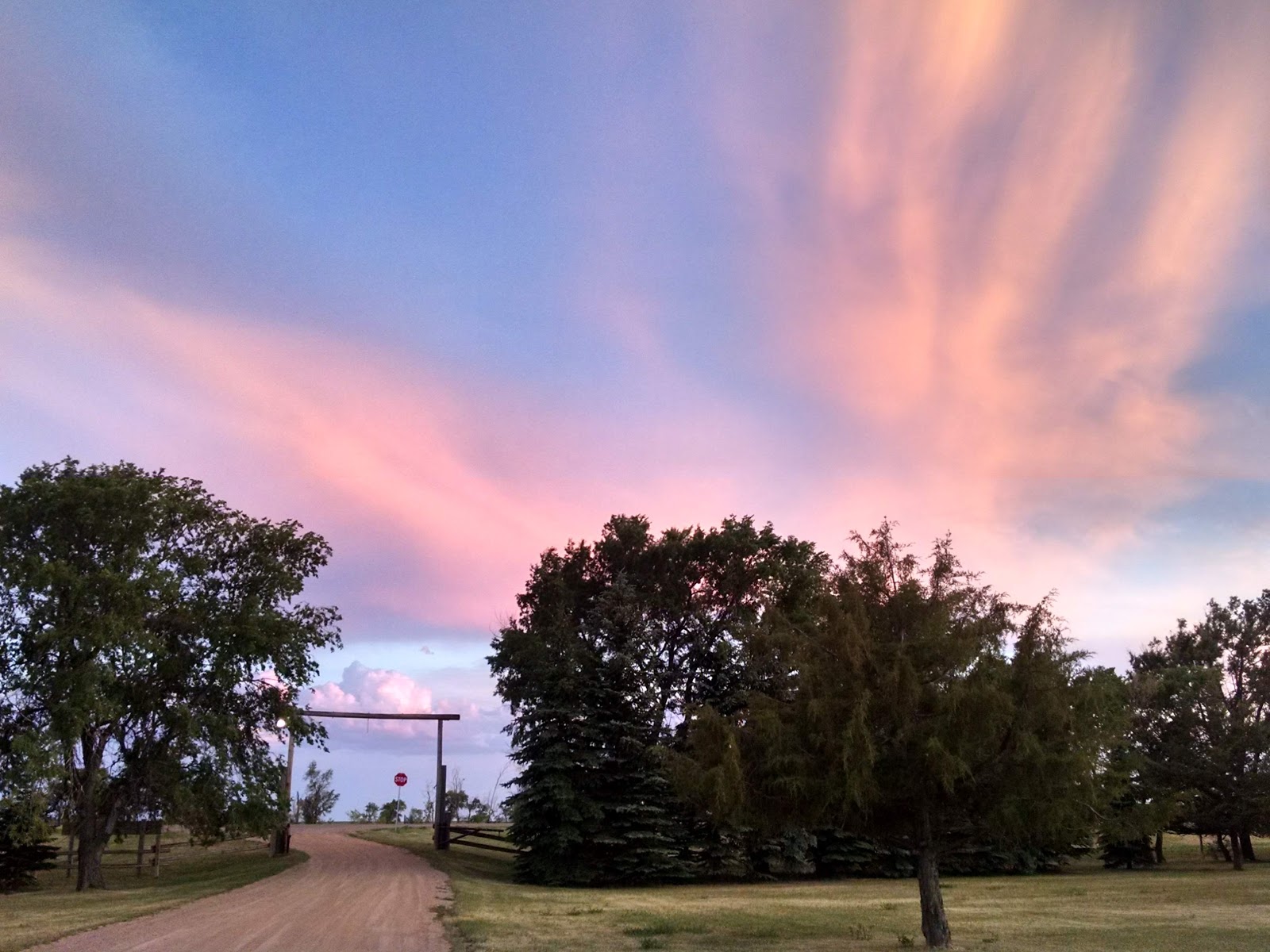 Bowman Lions Campground