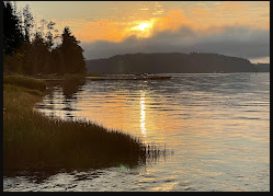 The Waterfront At Potlatch