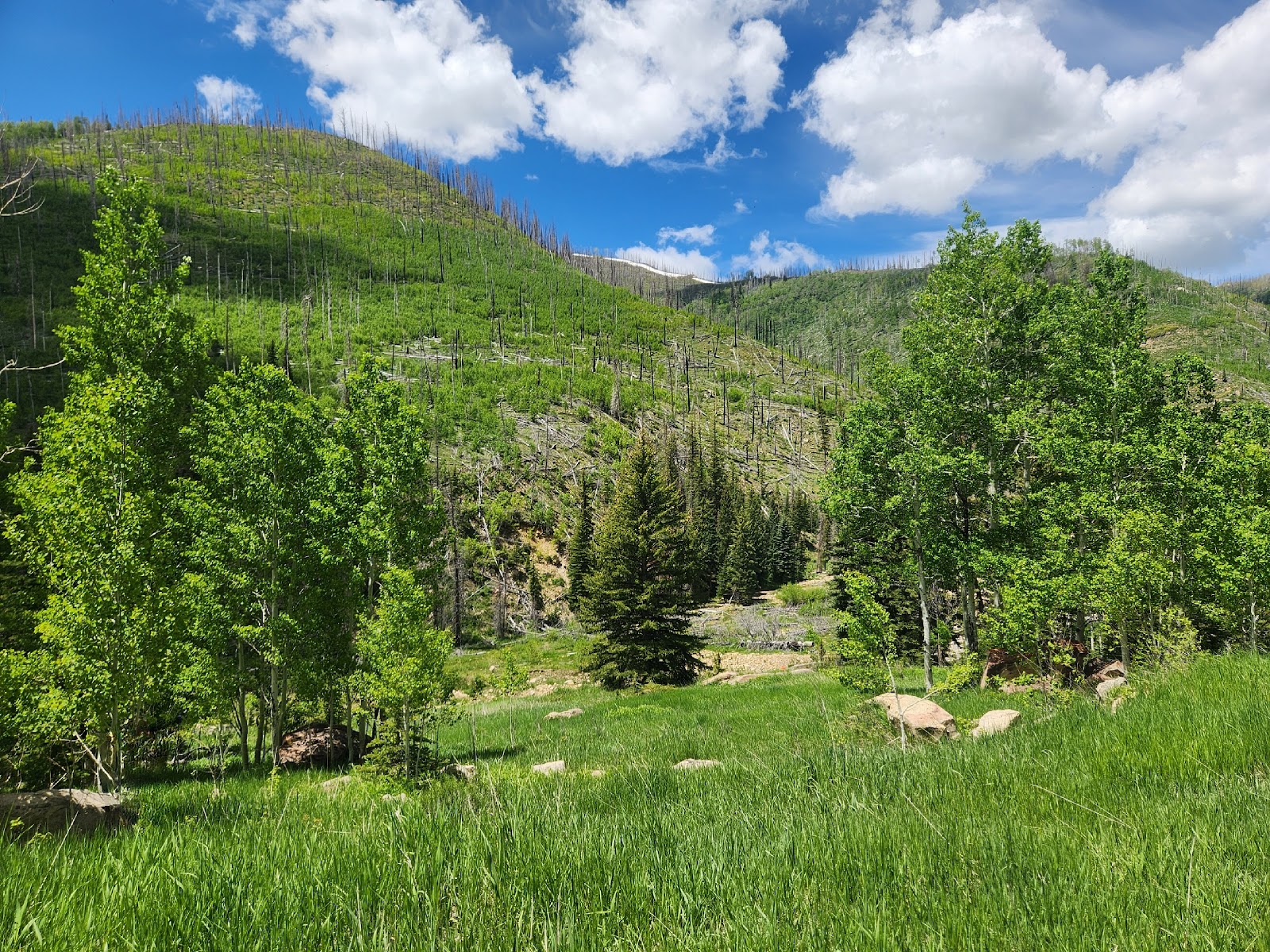 Old Folks Flat Campground