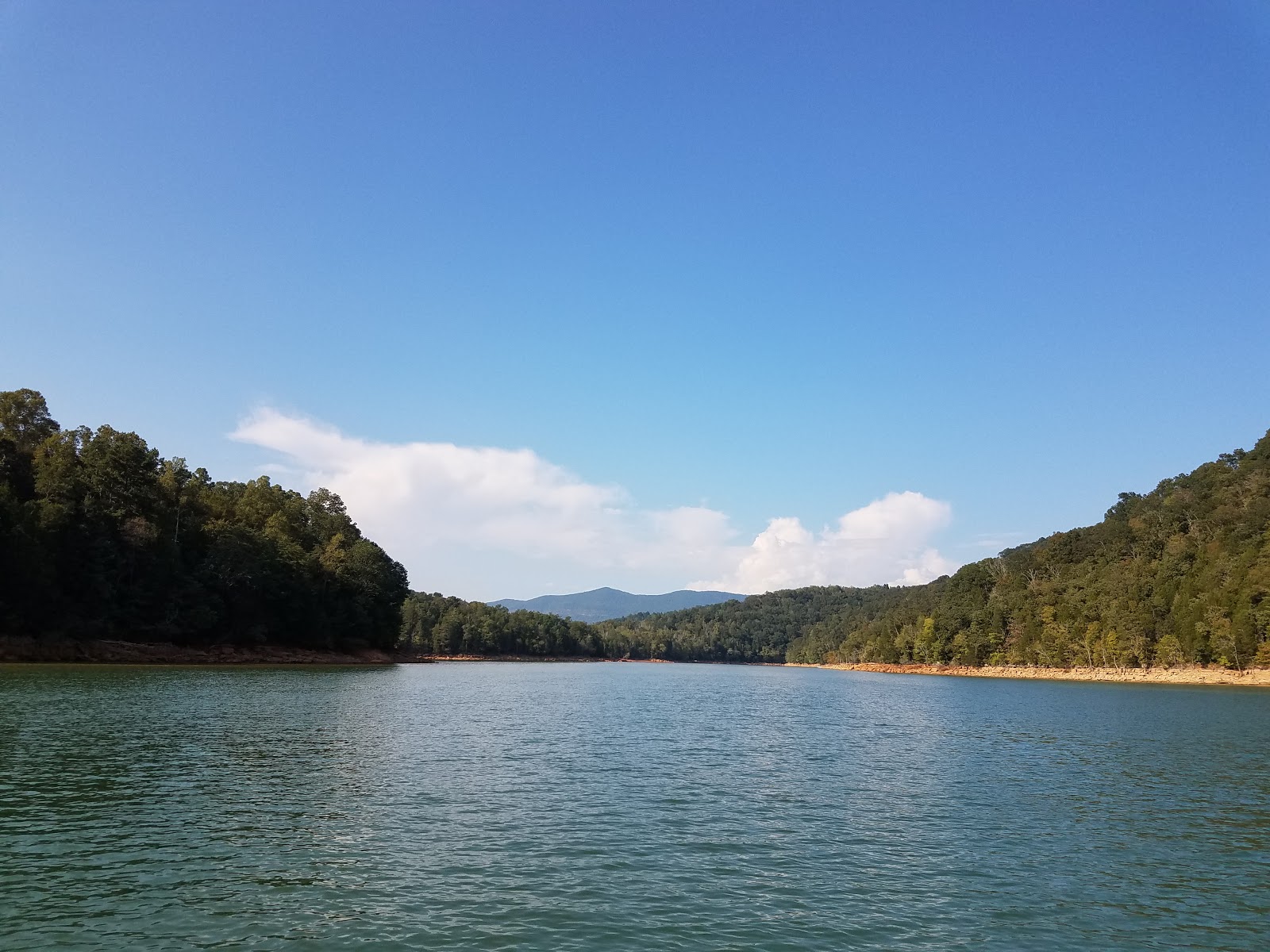 Powell Valley Resort