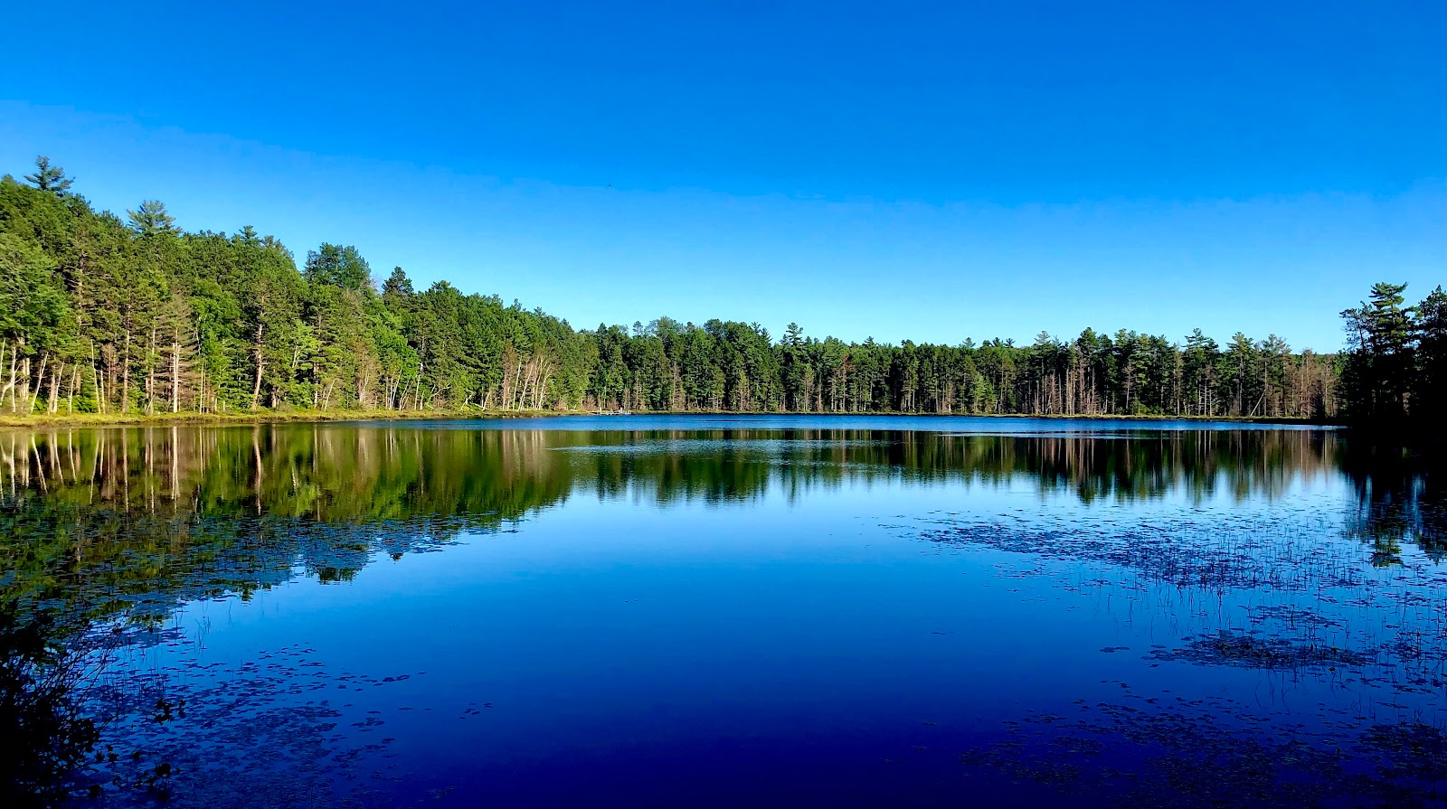 Island Lake NF Campground