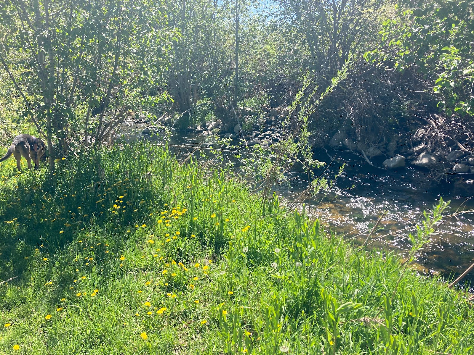 Happy Camper RV Park