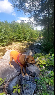 Red Creek Campground