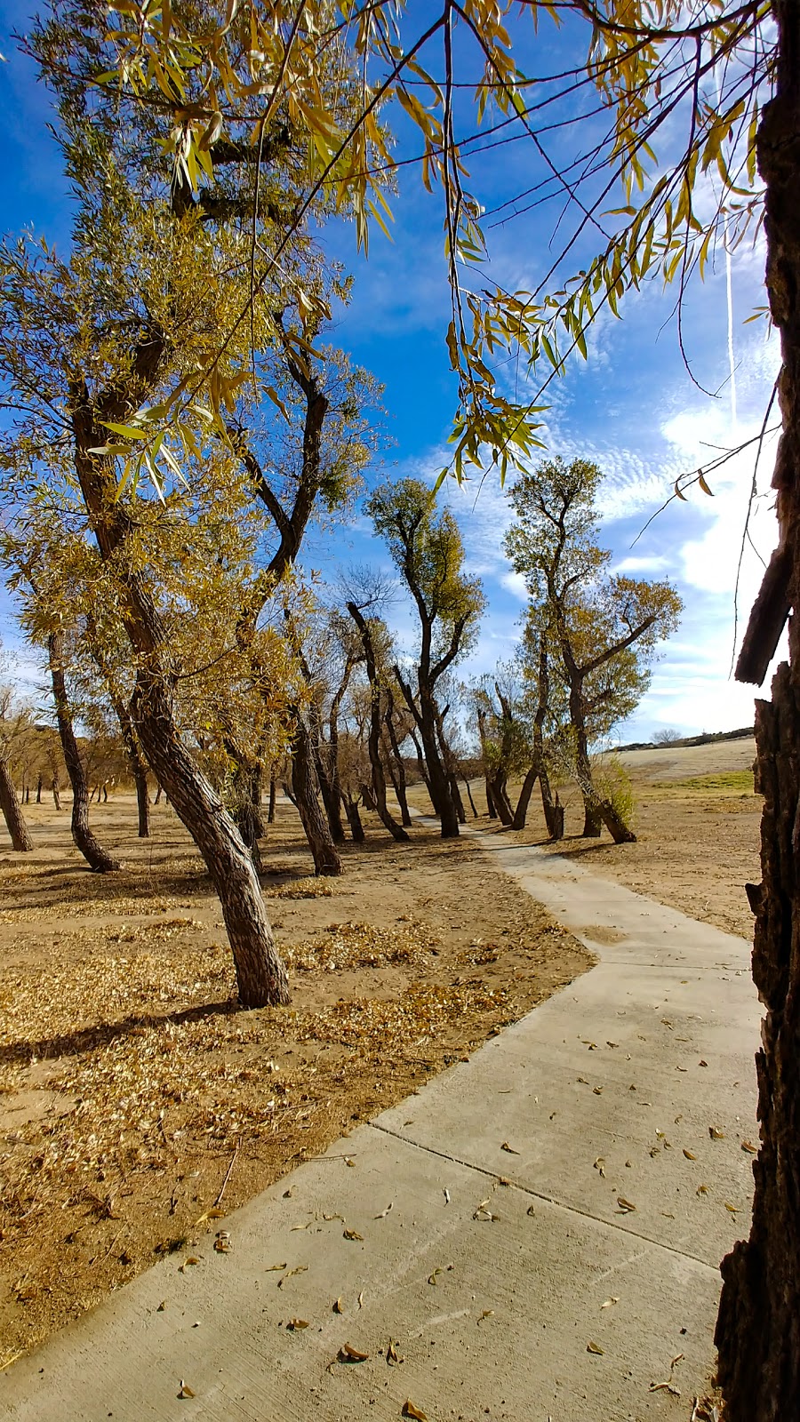 Lake Elizabeth Golf & Ranch Club