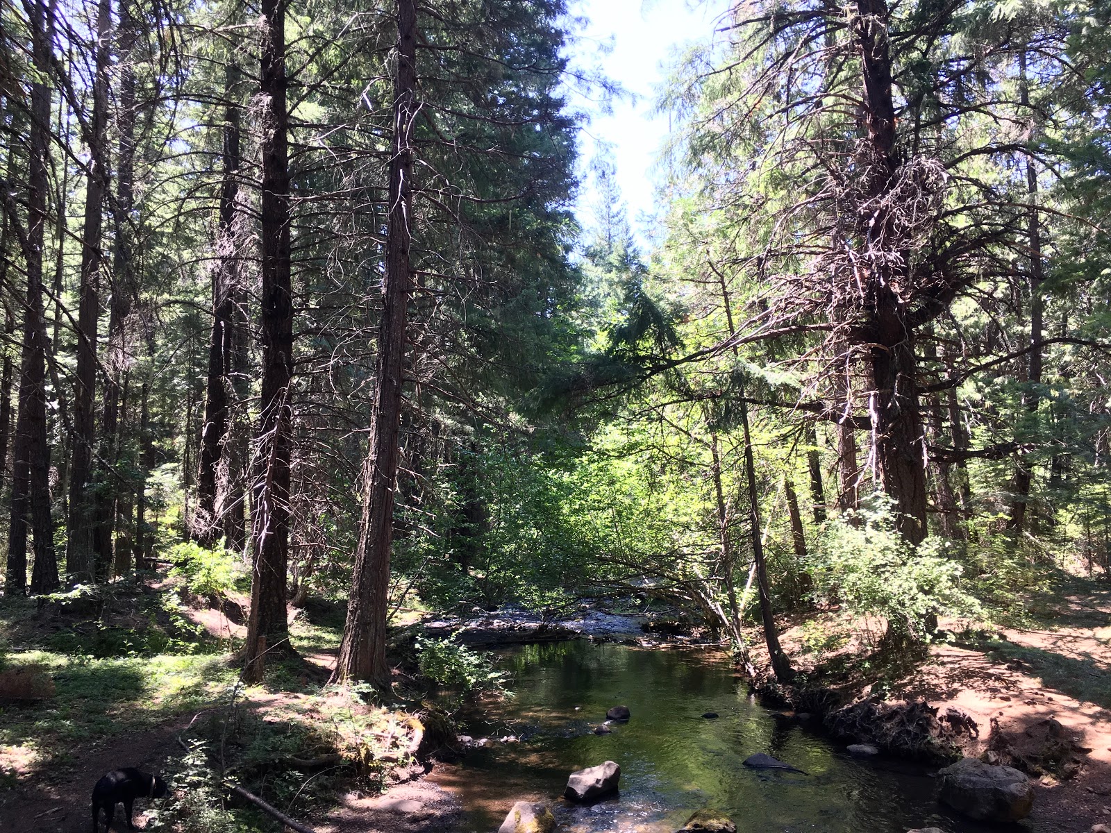 Parker Meadows Campground
