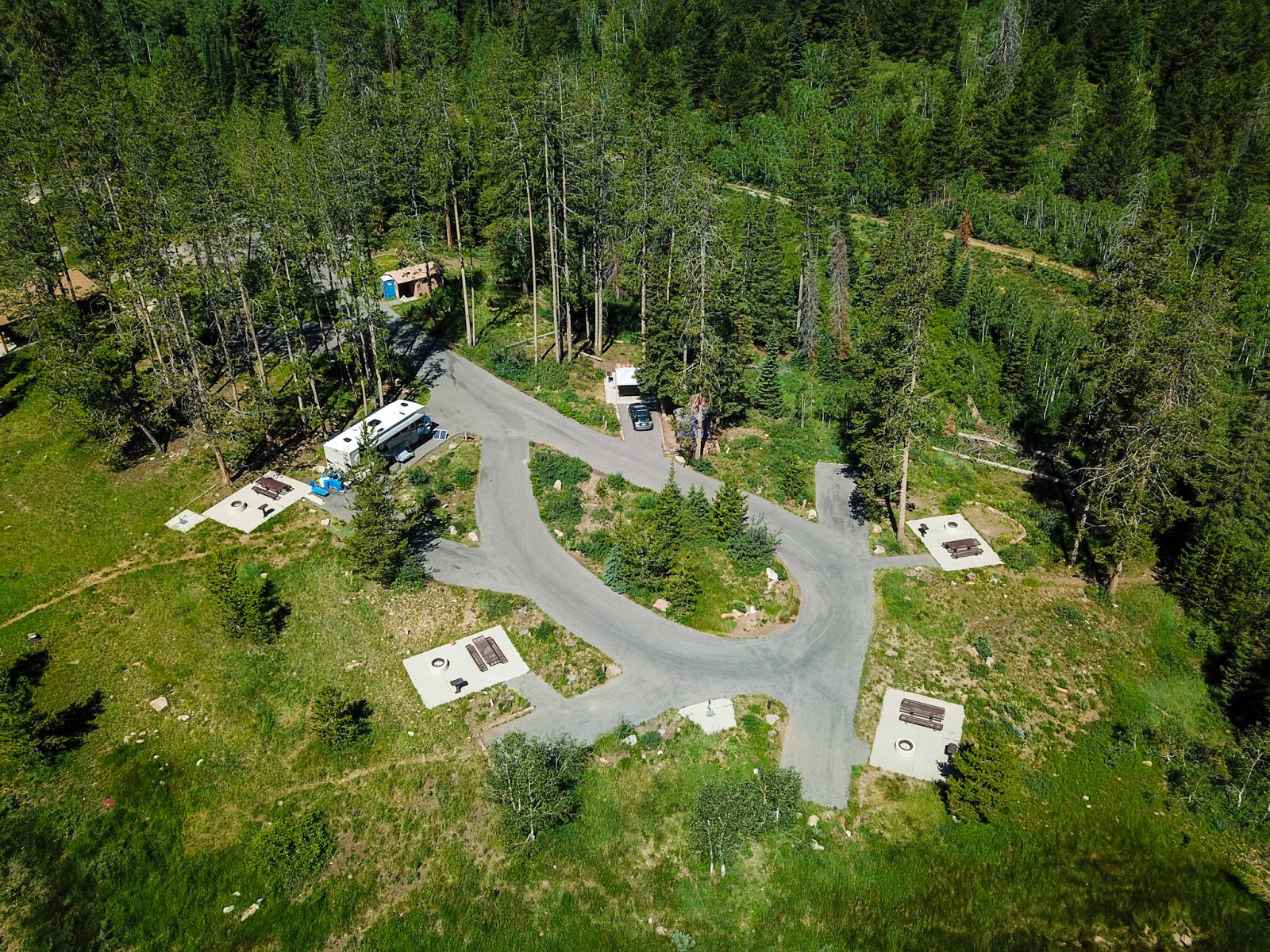 Lodgepole Campsite