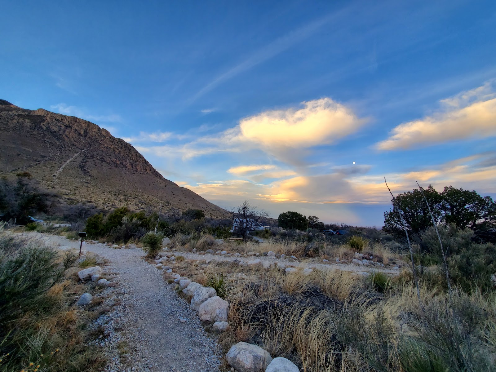 Pine Springs Campground