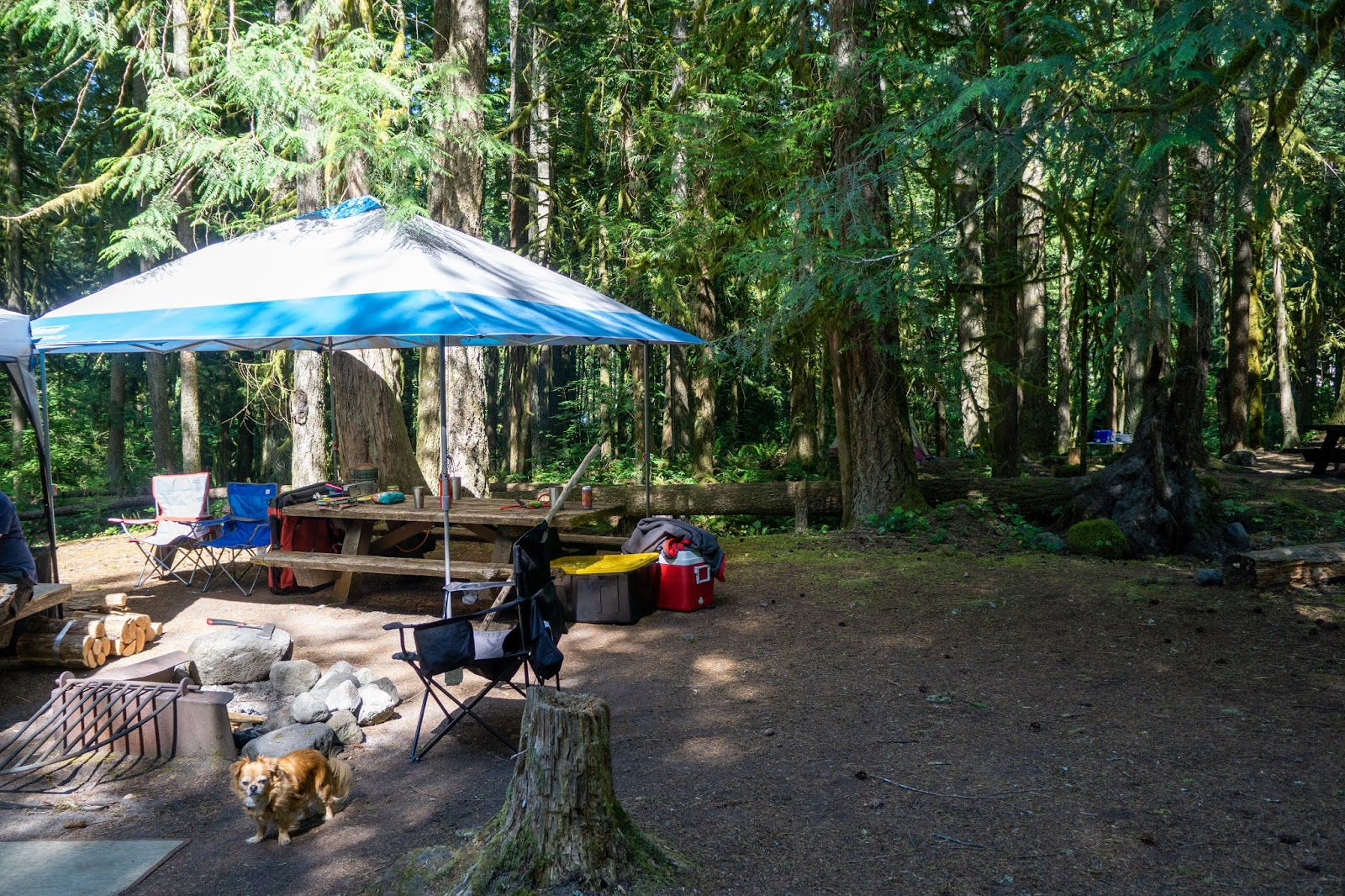 Tollgate Campground