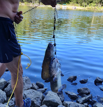 Dale Miller Youth Camping