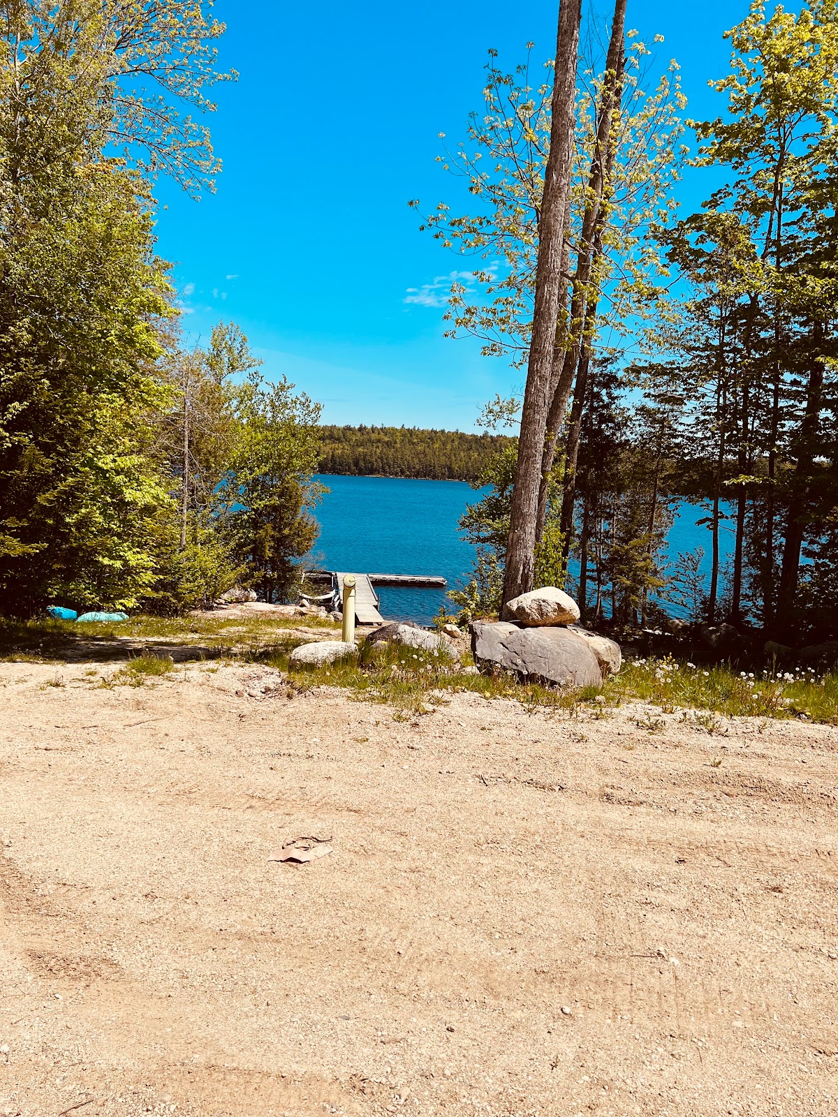 Wanderin Moose Campground