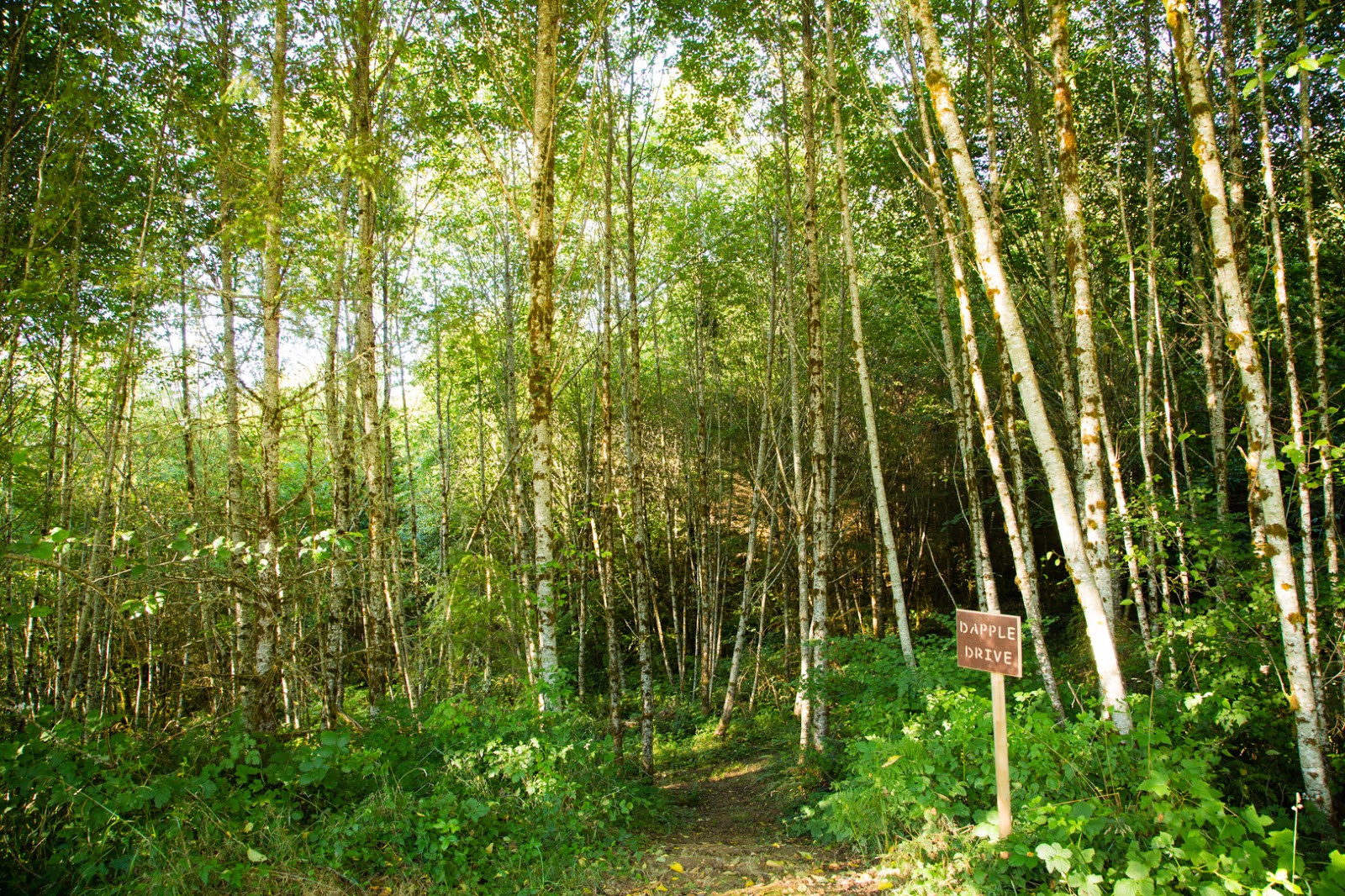 Chehalis Thousand Trails