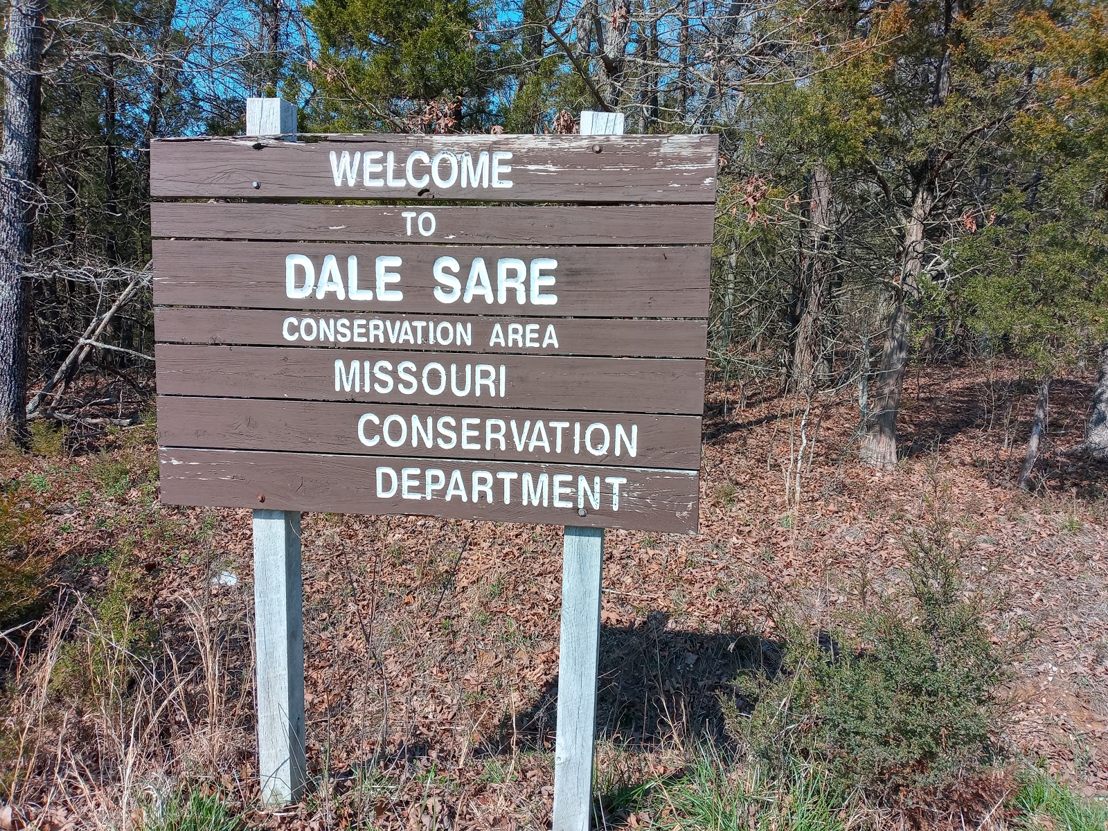 Dale Sare Conservation Area