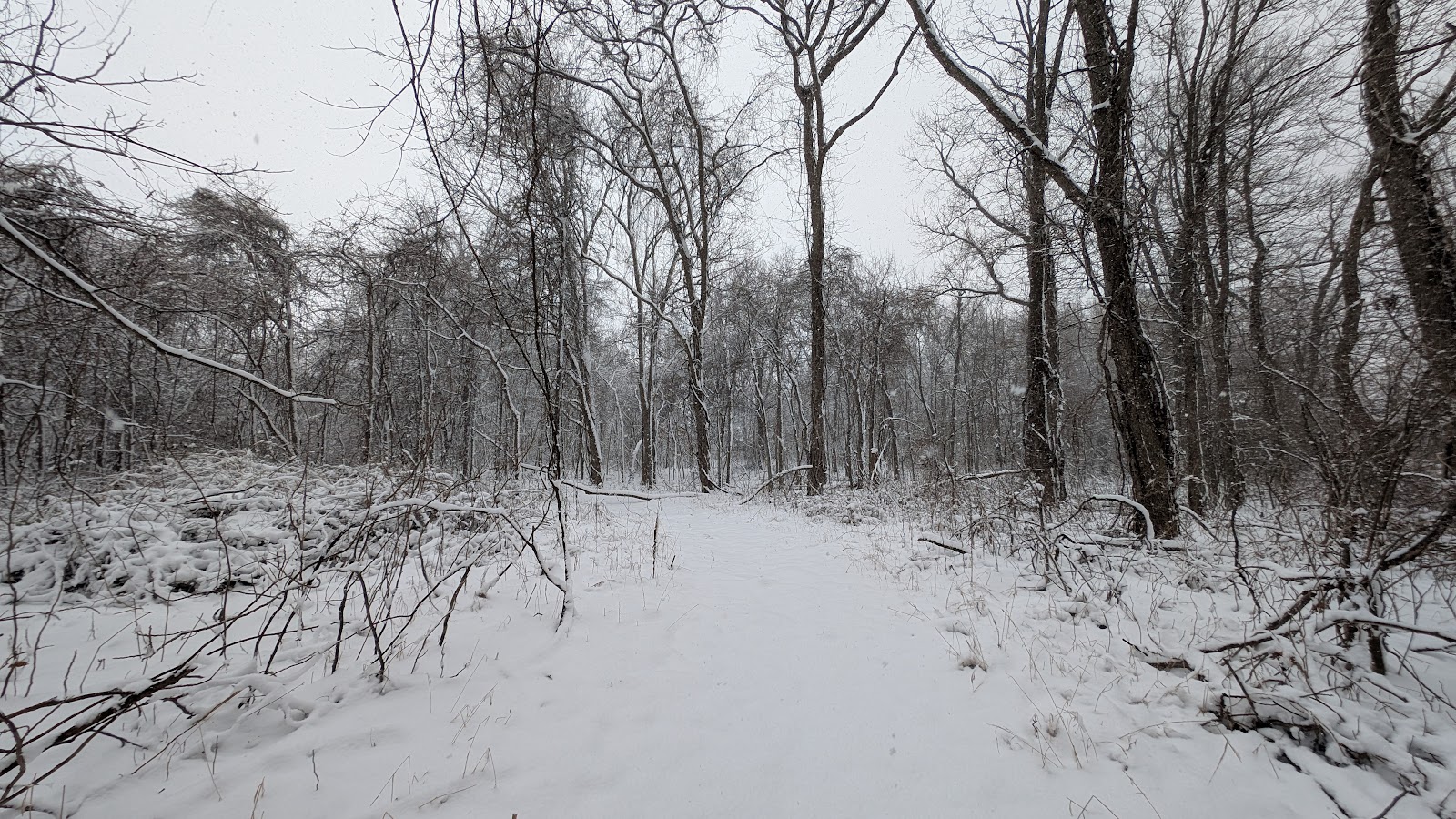 Big Lake National Wildlife Refuge