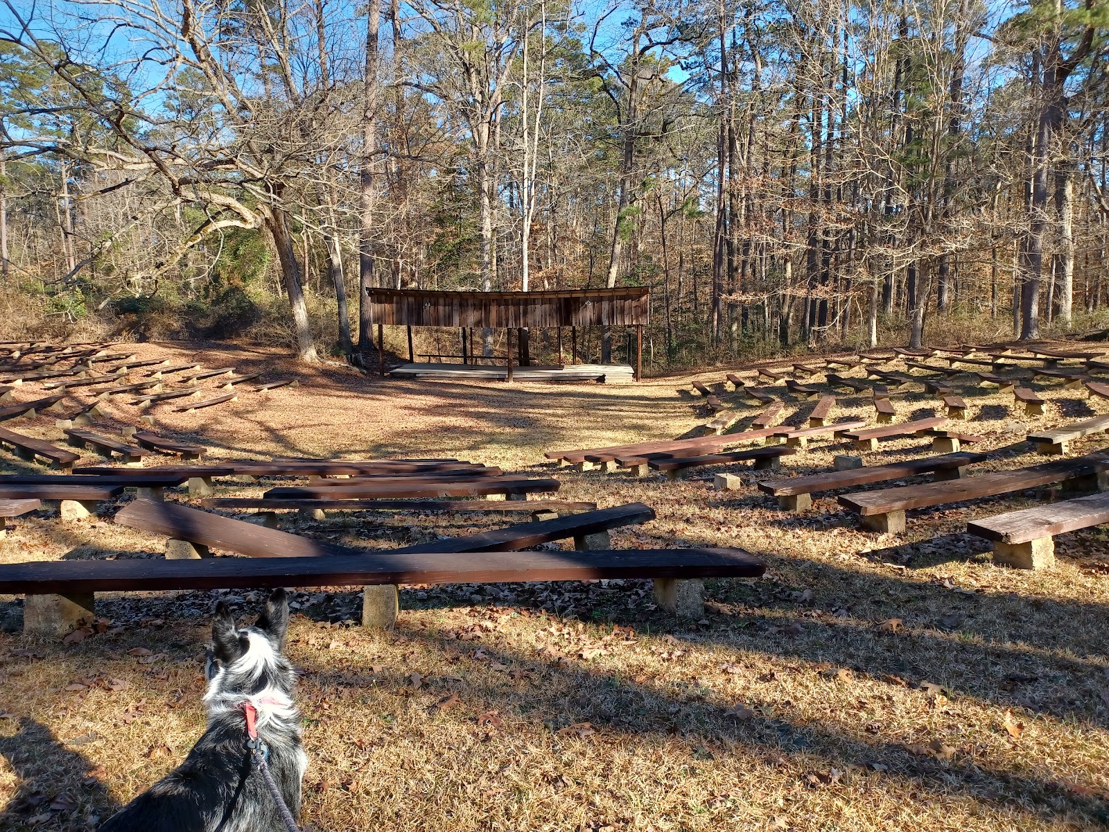 Boles Field NF Campground