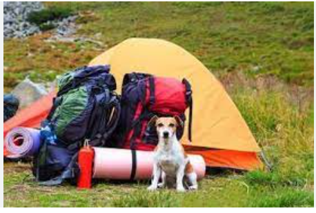 Sleeping Ute RV Park