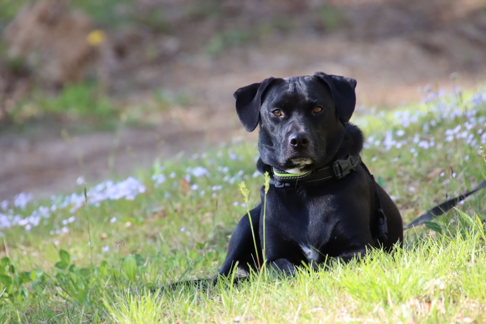 Shadow Lake RV Resort