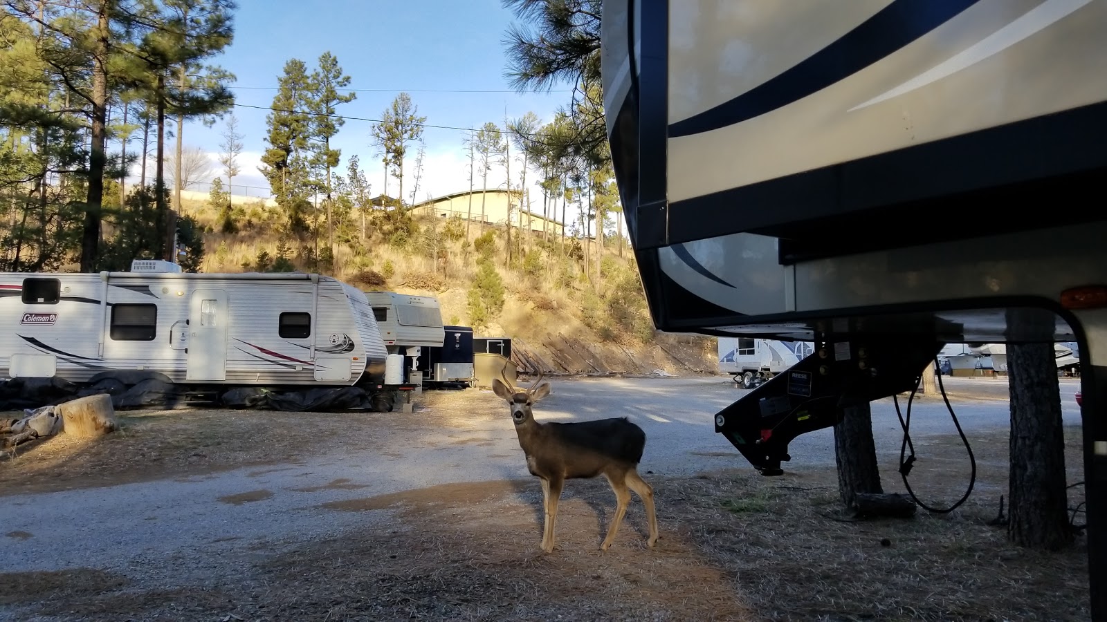 Halls Hideaway RV Park