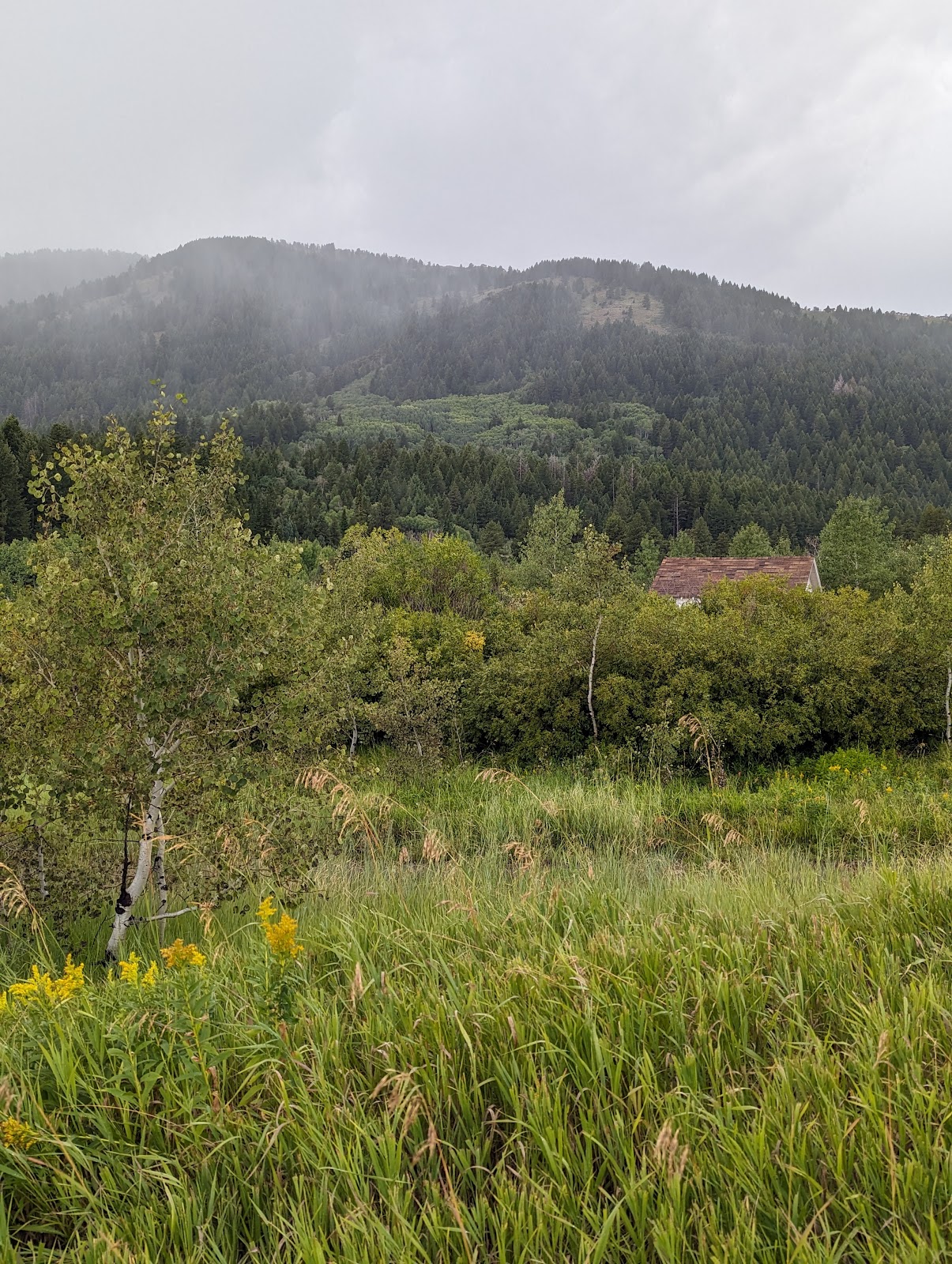 Pebble Guard Station