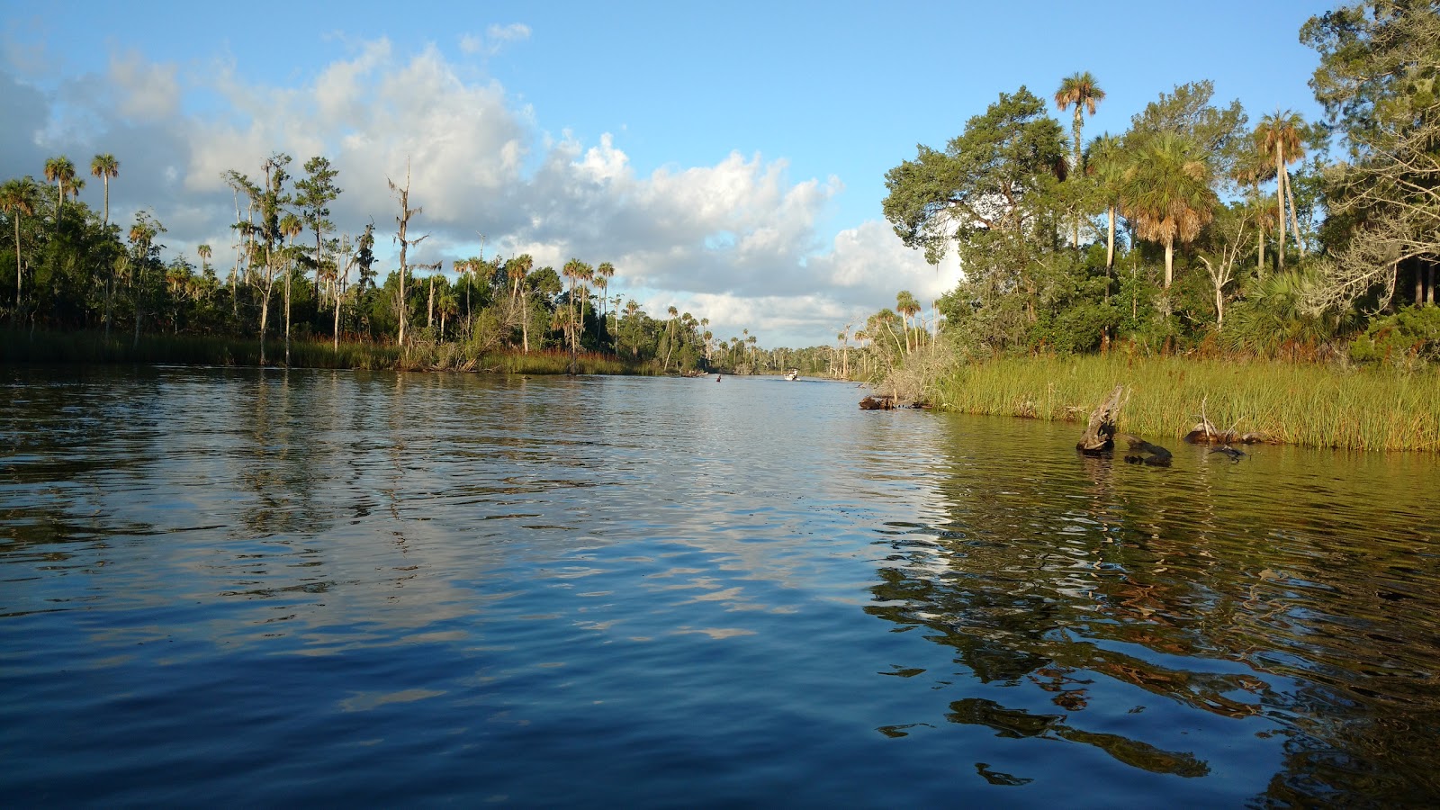 Waccasassa Bay Preserve State Park
