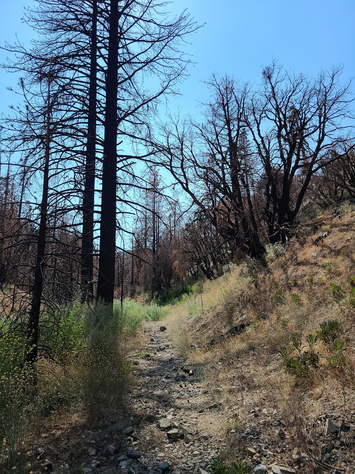 Cooper Canyon Trail Camp