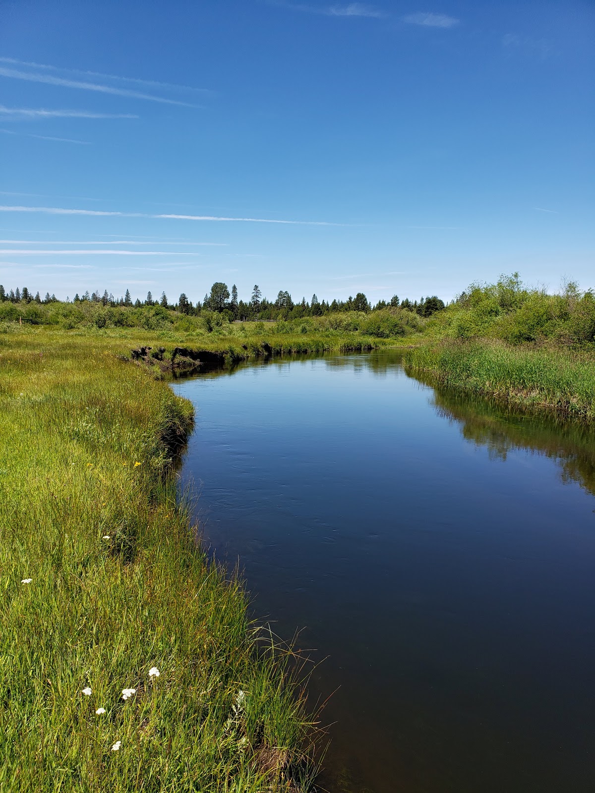 Riverview Trailer Park