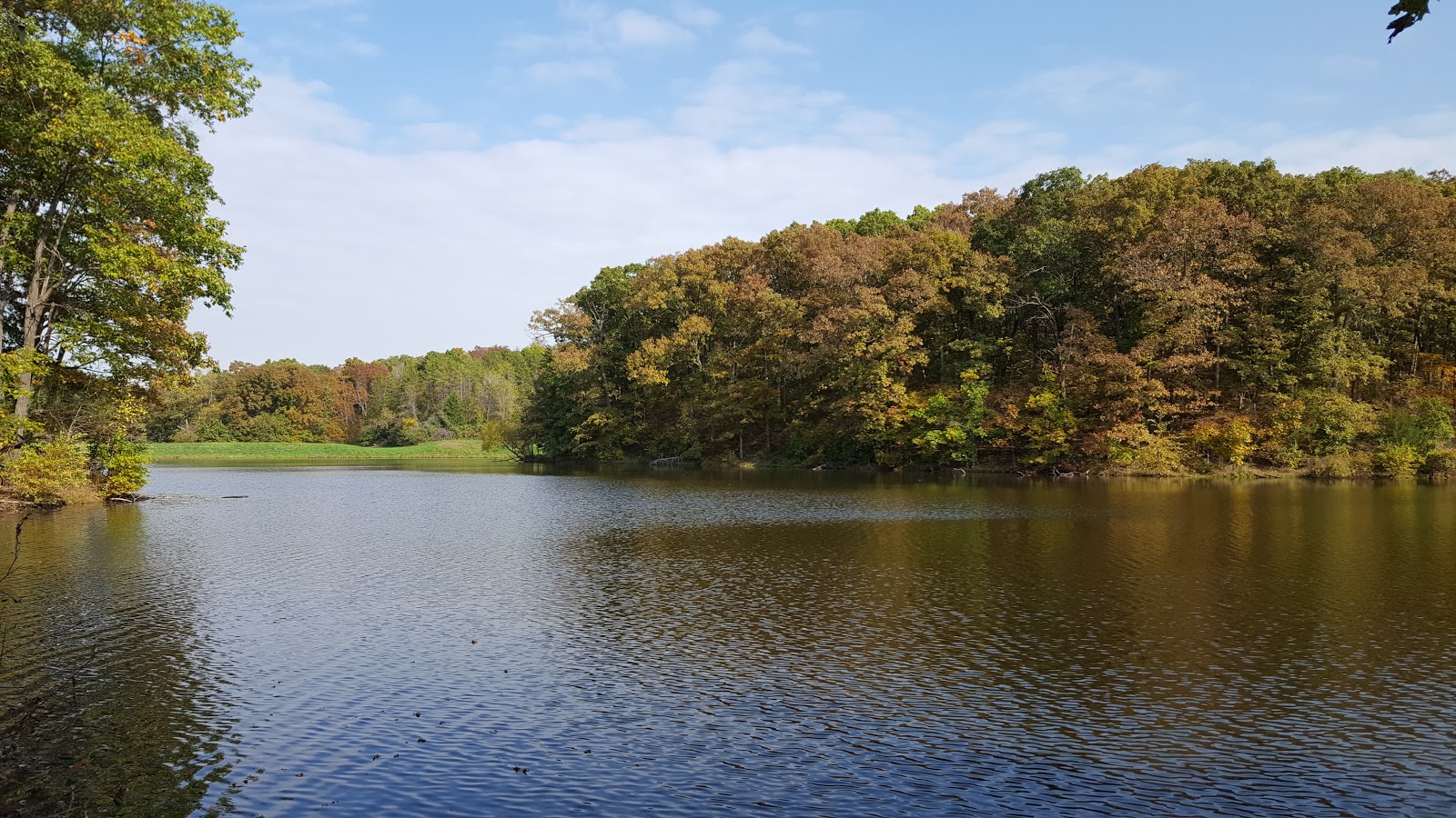 Shimek State Forest - Lick Creek Unit