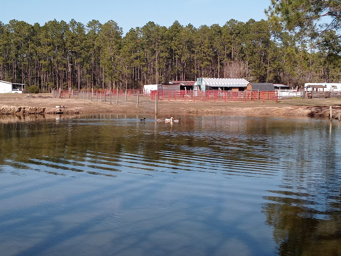 Big Mike’s Ranch and RV Camp