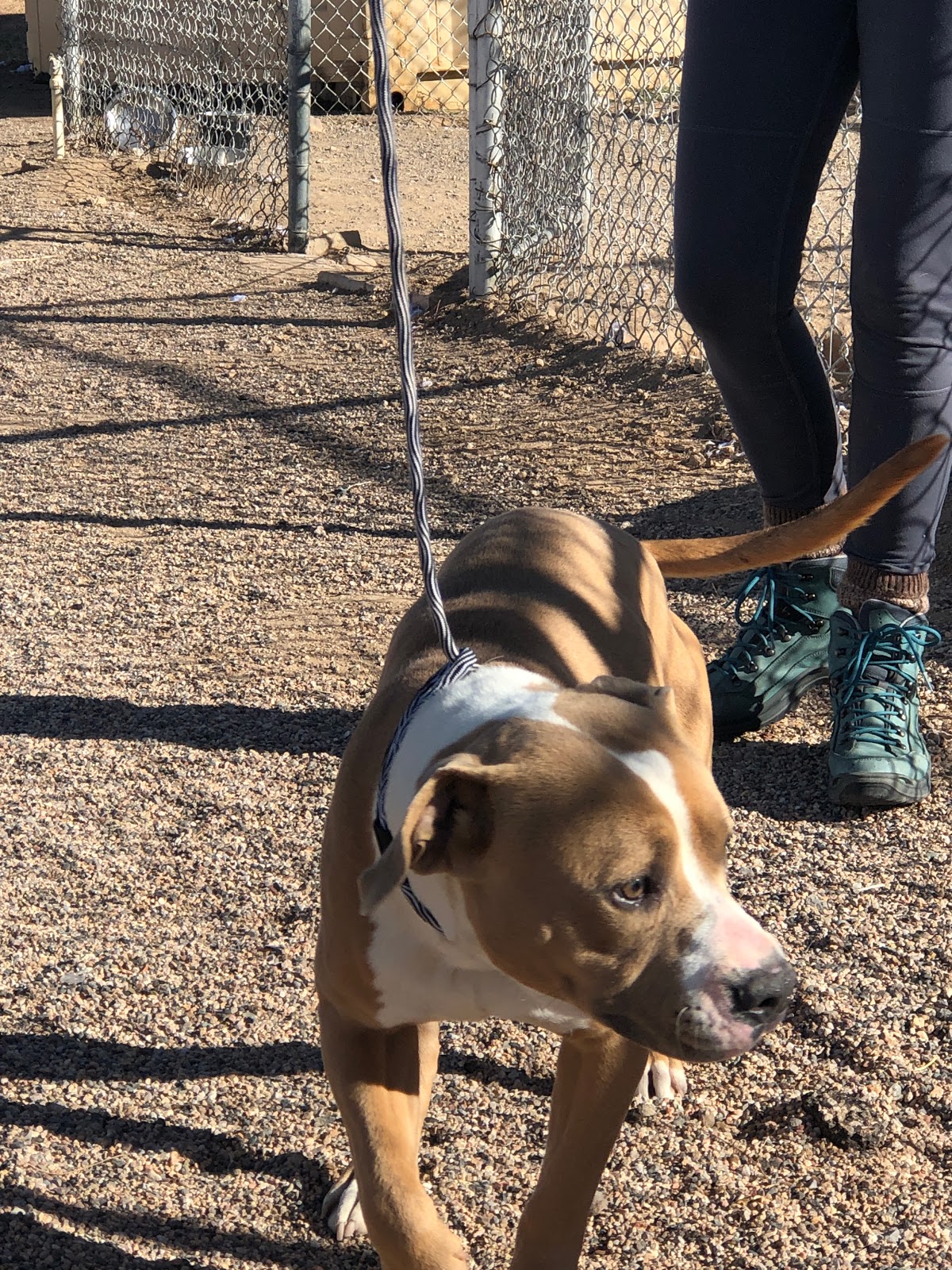 Bureau of Land Management