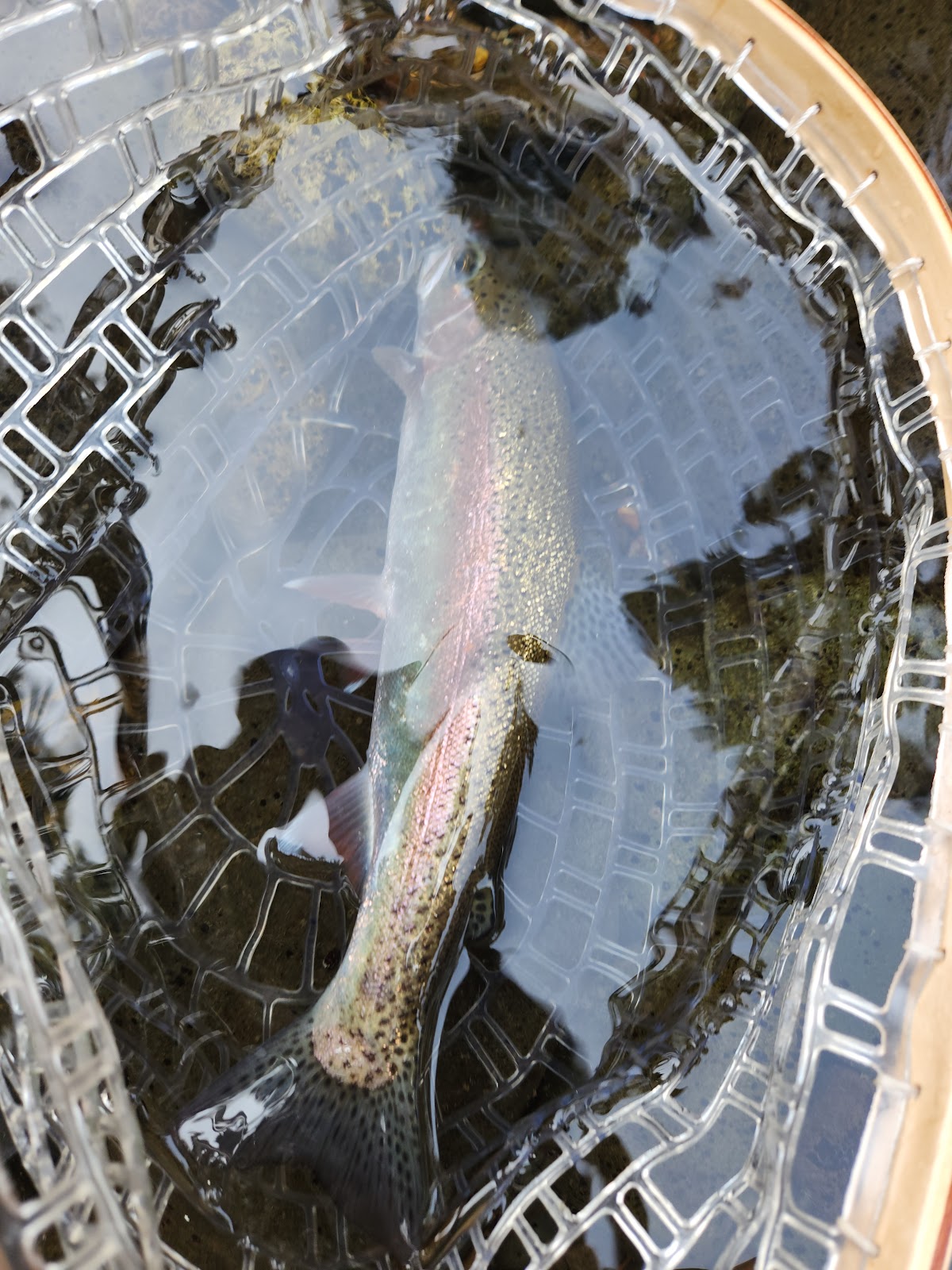 Broken Bowl Campground