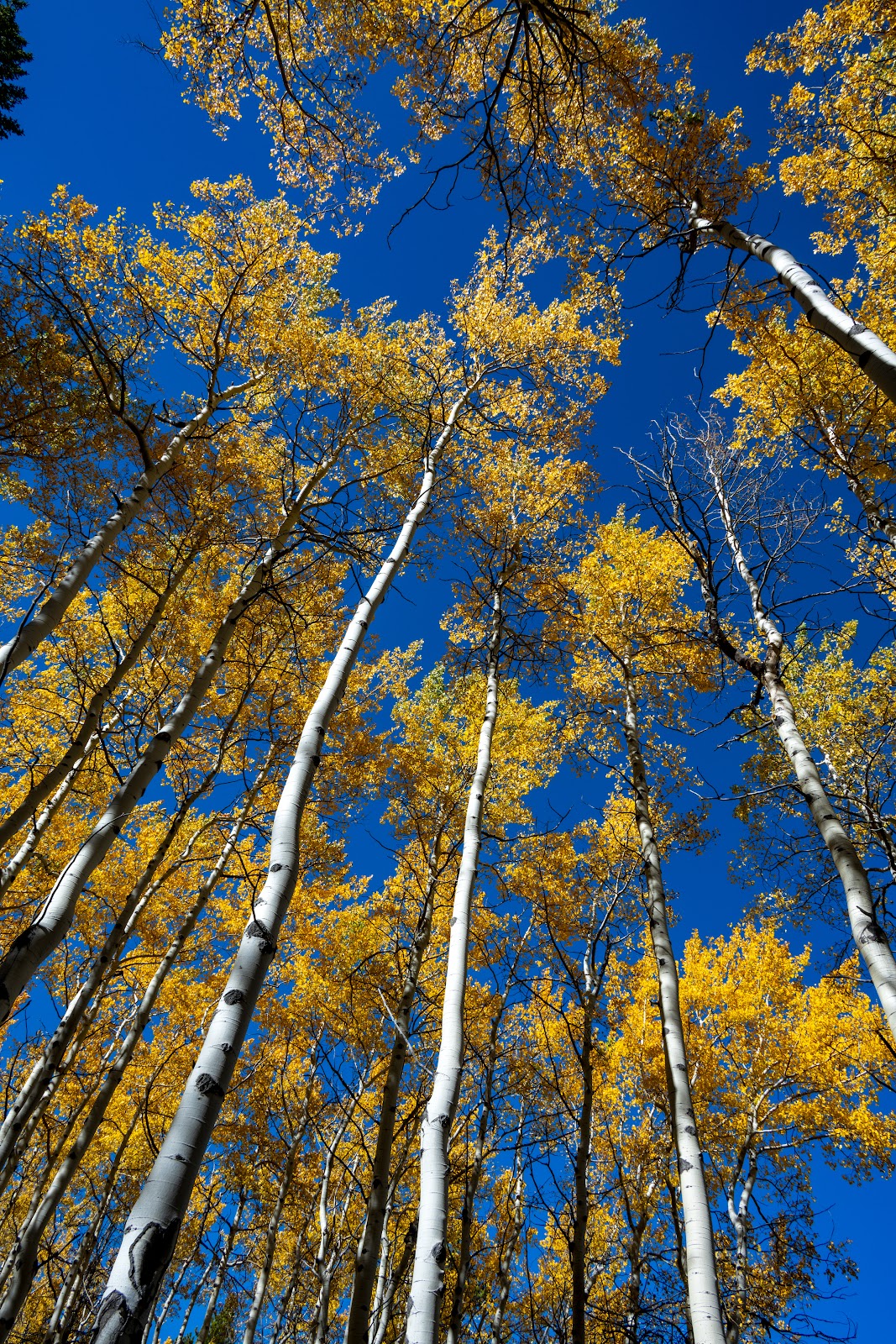 Lost Creek Campground