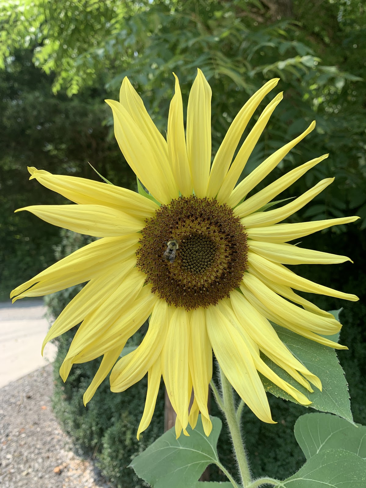Clinch River Valley Family Campground