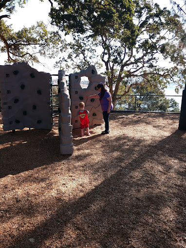 Observation Point Picnic Shelter (CA)