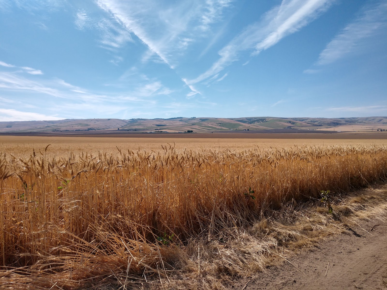 Wildhorse Resort RV Park