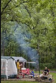 Campground 1 - St Joe State Park